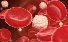 Hemoglobiini viitearvot