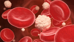 Hemoglobiini viitearvot - miten ne eroavat miehillä ja naisilla?